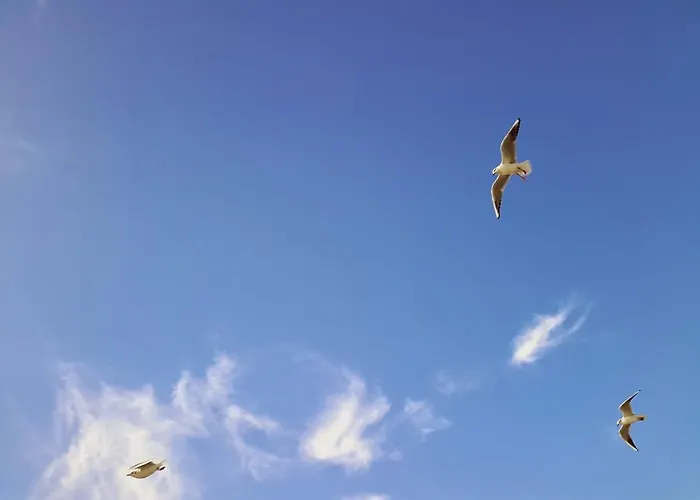 Avsa Mercan Apart * Türkeli