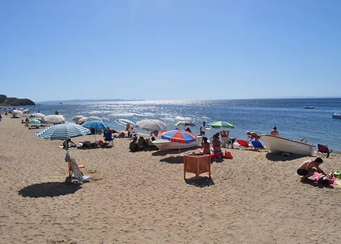 Avsa Mercan Apart موتيل